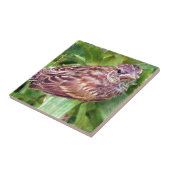 Carreau Baby Bird (Côté)