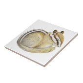 Carreau Baby Chipmunk (Côté)