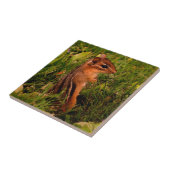 Carreau Baby Chipmunk Animal Art (Côté)