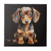 Carreau Baby Dachshund (Devant)