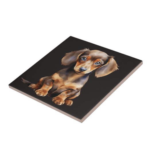 Carreau Baby Dachshund (Côté)