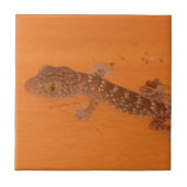 Carreau Baby Tokay Gecko (Devant)