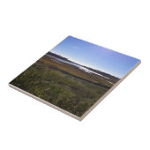 Carreau Back Bay, Newport Beach, Californie (Côté)