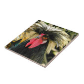 Carreau Bad Hair Chicken Photo (Côté)