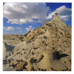 Carreau Badlands dans le parc provincial Dinosaur en Alber