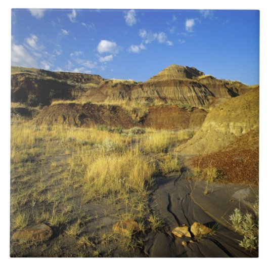 Carreau Badlands du parc provincial Dinosaur en Alberta, (Devant)