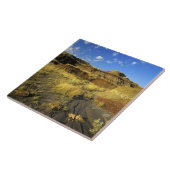 Carreau Badlands du parc provincial Dinosaur en Alberta, (Côté)