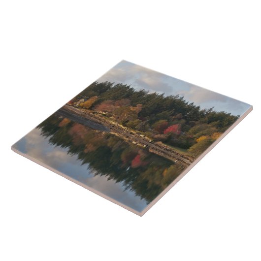 Carreau Baie de Fletcher (Côté)