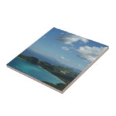 Carreau Baie de Magens, scene de l'île St Thomas Beautiful (Côté)