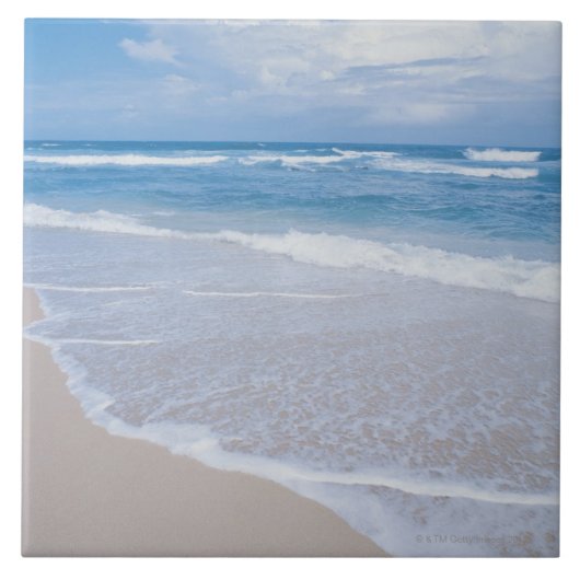 Carreau Baie de Waimea, Oahu, îles hawaïennes (Devant)