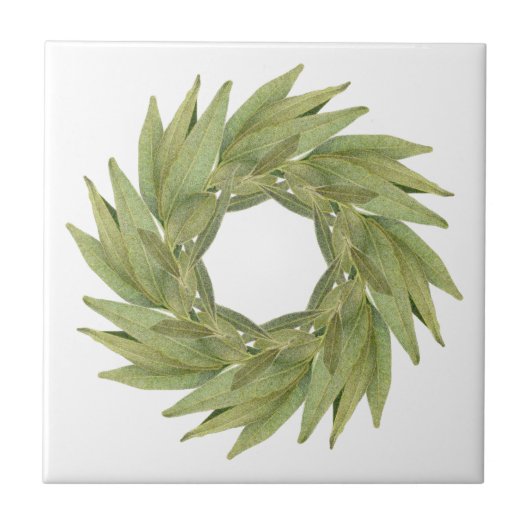 Carreau BAIE FEUILLES WREATH 4,25" Carrelage en céramique (Devant)