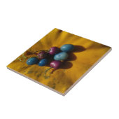 Carreau Baies de porcelaine et Citrouille (Côté)