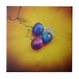 Carreau Baies de porcelaine sur un citrouille