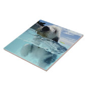 Carreau Baignade de chien dans une piscine (Côté)