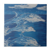 Carreau Bain de minuit de dauphin (Devant)