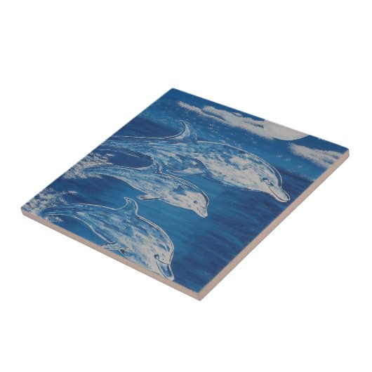 Carreau Bain de minuit de dauphin (Côté)