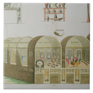 Carreau Bains romains, plat 'de l'histoire de la nation