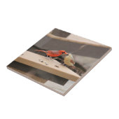 Carreau Baisers des cardinaux (Côté)