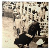 Carreau Balayage Bull Rodeo Rider photo (Devant)