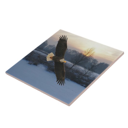 CARREAU BALD EAGLE (Côté)