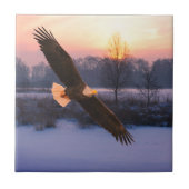 CARREAU BALD EAGLE CERAMIC TILE (Devant)