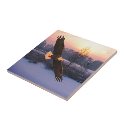 CARREAU BALD EAGLE CERAMIC TILE (Côté)