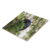 Carreau Bald Eagle perché dans Douglas Fir (Côté)