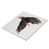 Carreau Bald Eagle Plongée avec fond blanc (Côté)