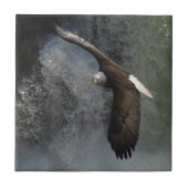 Carreau Bald Eagle Raptor Wildlife Waterfall Tile (Devant)
