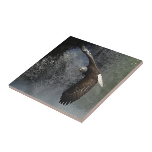 Carreau Bald Eagle Raptor Wildlife Waterfall Tile (Côté)
