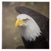Carreau Bald Eagle Strength – Decorative Ceramic Tile (Devant)