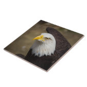 Carreau Bald Eagle Strength – Decorative Ceramic Tile (Côté)