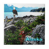 Carreau Bald Eagle Sur La Côte De L'Alaska (Devant)