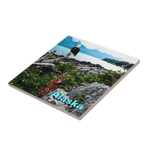 Carreau Bald Eagle Sur La Côte De L'Alaska