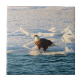 Carreau Bald Eagle sur le lac Icy (Devant)