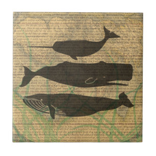 Carreau Baleine antique Vie marine