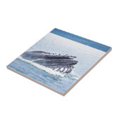 Carreau baleine de bosse (Côté)