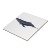 Carreau Baleine de bosse dans le profil (Côté)