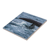 Carreau Baleine de Sperm (Côté)