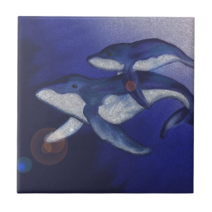 Carreau Baleine et bébé de bosse