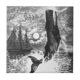 Carreau Baleine vintage, Vie Marine Animaux