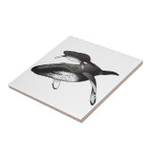 Carreau Baleines à bosse (Côté)