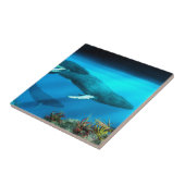 Carreau Baleines de bosse (Côté)