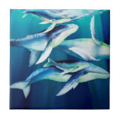 Carreau Baleines de bosse (Devant)