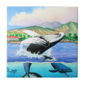 Carreau Baleines de bosse (Devant)