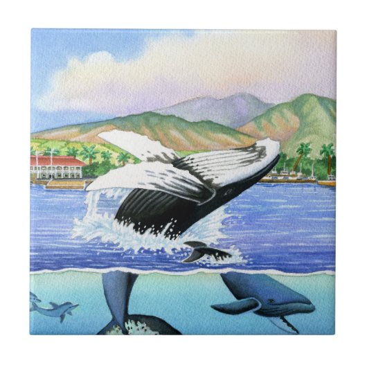 Carreau Baleines de bosse (Devant)