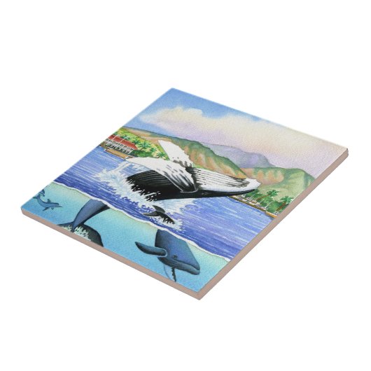 Carreau Baleines de bosse (Côté)