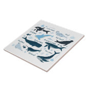 Carreau Baleines et vie marine Design graphique océanique (Côté)