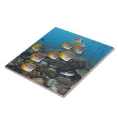 Carreau Bali, Indonésie (Côté)