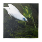 Carreau Bali Mina (Devant)